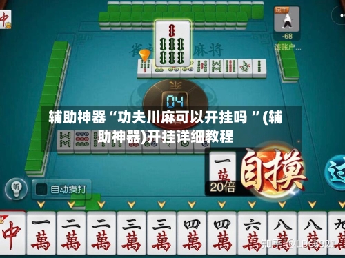 辅助神器“功夫川麻可以开挂吗 	”(辅助神器)开挂详细教程-第2张图片
