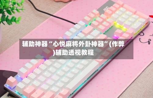 辅助神器“心悦麻将外卦神器”(作弊)辅助透视教程-第2张图片