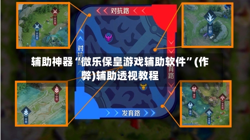 辅助神器“微乐保皇游戏辅助软件”(作弊)辅助透视教程