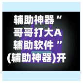辅助神器“哥哥打大A辅助软件 ”(辅助神器)开挂详细教程-第3张图片